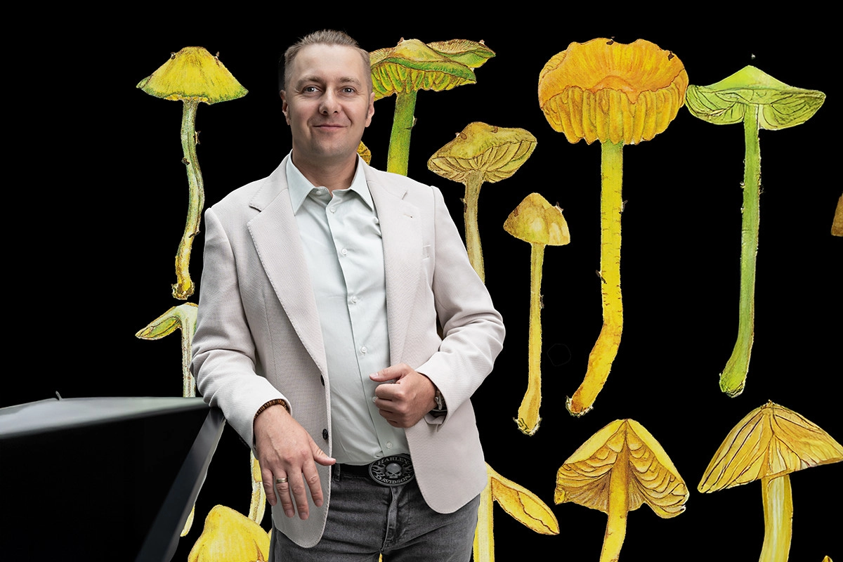 Grzybnia kontra fast fashion