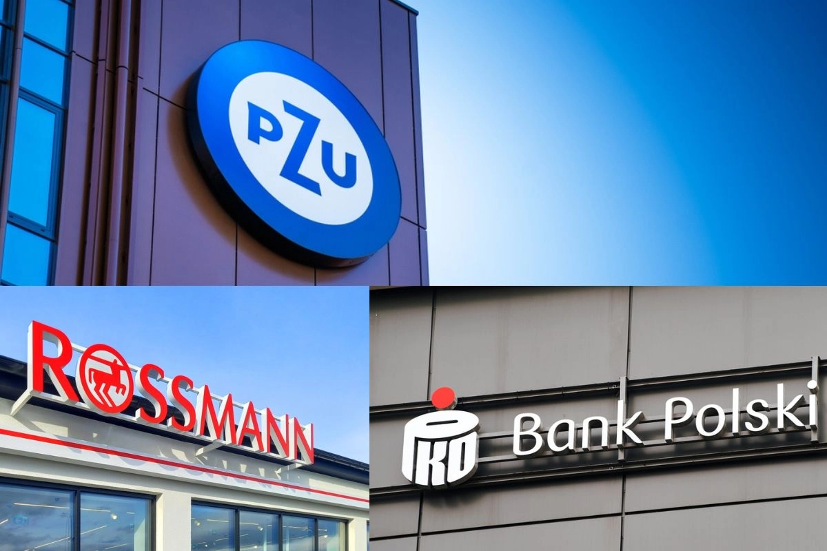 Rusza StartSmart.CEE. Finansowanie i mentoring dla startupów od PZU, Rossmanna i PKO BP