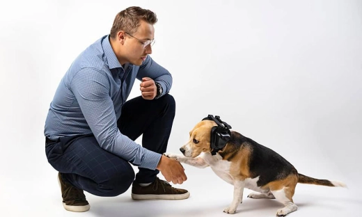 Słuchawki niekoniecznie dla ludzi, czyli jak zarobić na psich uszach