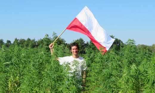 Kombinat Konopny zakończył kolejną udaną emisję crowdfundingową. Firma zebrała milion euro