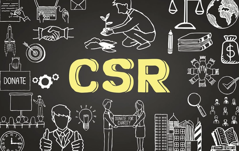 Odpowiedzialny biznes – raport CSR Provident Polska