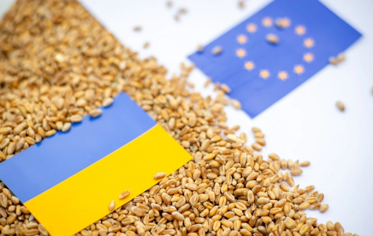 Gospodarczy odwet Ukrainy za zamknięcie rynku dla zbóż: zakaz importu owoców i warzyw z Polski