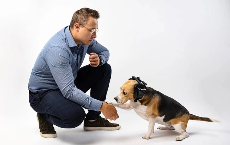 Słuchawki niekoniecznie dla ludzi, czyli jak zarobić na psich uszach