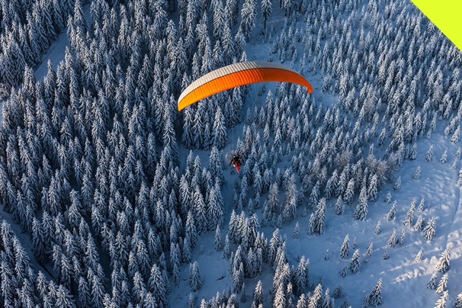 Fot. Shutterstock