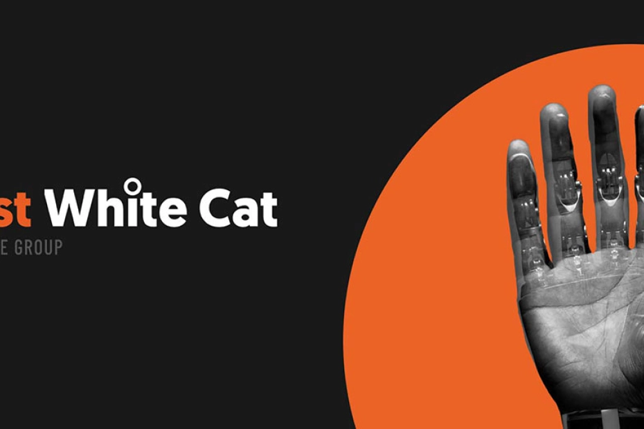 Fast White Cat