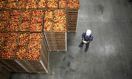 Eksport polskiej żywności notuje spadek. Sraciliśmy na konkurencyjności z powodu inflacji