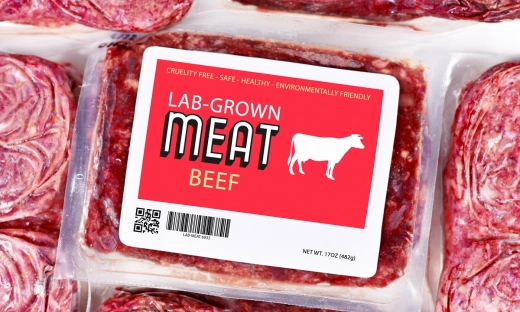 Europejska rewolucja w żywności: Niemiecki startup wnioskuje o sprzedaż mięsa z probówki