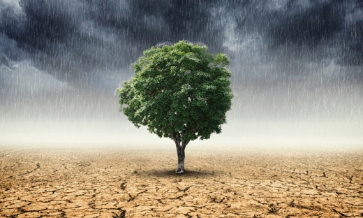 Przedsiębiorcy na rzecz klimatu