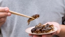Żabka zacieśnia współpracę z FoodBugs: Owady w ofertach supermarketu Delio
