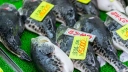 Nowość od Nissin Foods: Zupka instant z Fugu, najbardziej jadowitej ryby świata