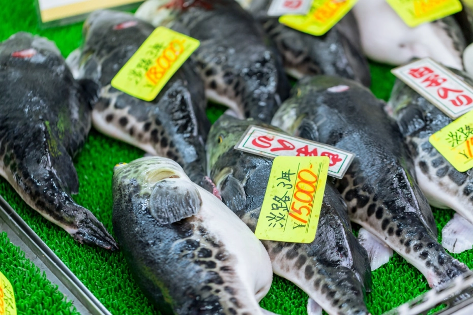 Ryba Fugu jest o 1200 razy bardziej trująca od cyjanku.
