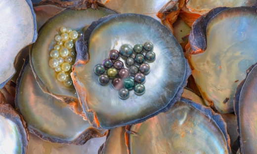 Największa znaleziona perła. Gdzie ją znaleziono i jak robić biznes na perłach?