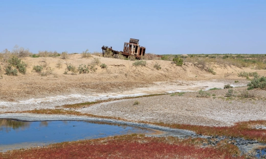 Wiemy, jak pokonać suszę