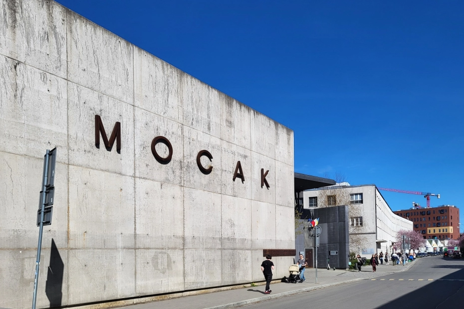 mocak, kraków