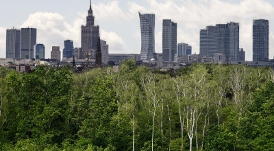 Drewno jest surowcem przyszłości oraz  napędem dla nowoczesnej i proklimatycznej gospodarki