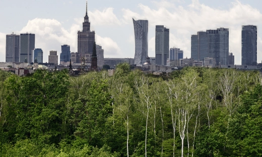 Drewno jest surowcem przyszłości oraz  napędem dla nowoczesnej i proklimatycznej gospodarki