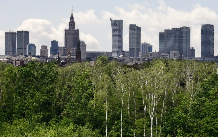 Drewno jest surowcem przyszłości oraz  napędem dla nowoczesnej i proklimatycznej gospodarki