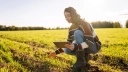 "Było trudno, ale się udało" – Startup AgroContracts zdobył pierwszego inwestora