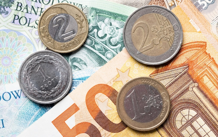 Czas na zmianę waluty? Minister finansów o wprowadzeniu Euro