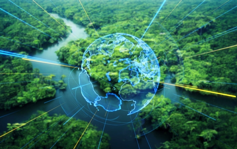 10 mln zł dla akceleratorów. Rusza nabór do programu Scale Up Green, który wesprze zielone startupy