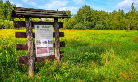 Kampinoski Park Narodowy z nowym strażnikiem. Sztuczna inteligencja od SmokeD będzie szukać pożarów przez całą dobę