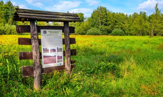 Kampinoski Park Narodowy z nowym strażnikiem. Sztuczna inteligencja od SmokeD będzie szukać pożarów przez całą dobę