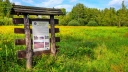 Kampinoski Park Narodowy z nowym strażnikiem. Sztuczna inteligencja od SmokeD będzie szukać pożarów przez całą dobę