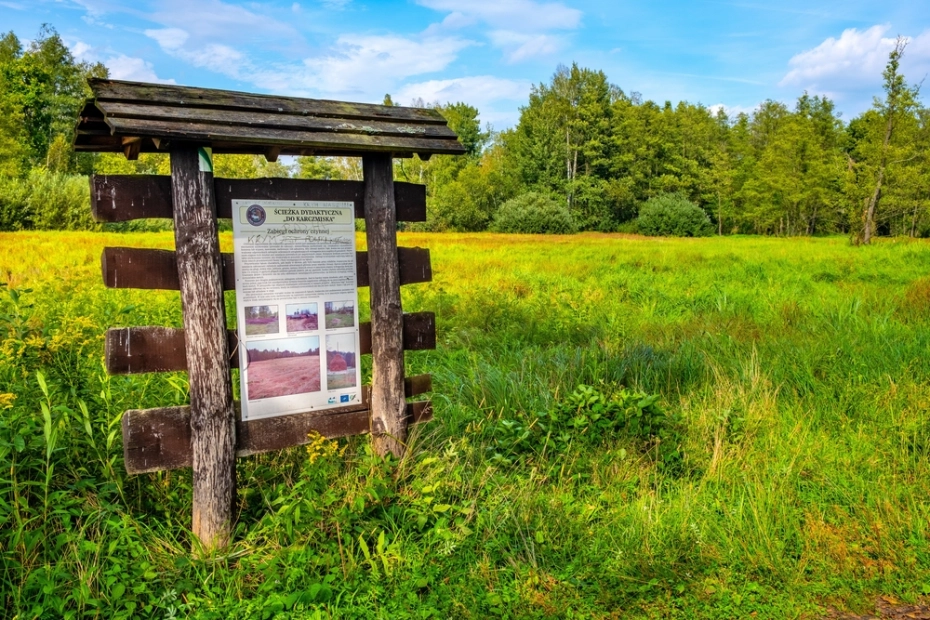 Kampinoski Park Narodowy