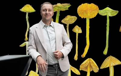 Aktualności