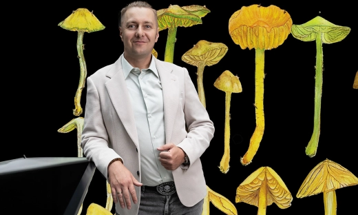 Grzybnia kontra fast fashion