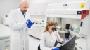 Bioceltix pozyska prawie 53 mln zł na budowę  nowej wytwórni komórek macierzystych