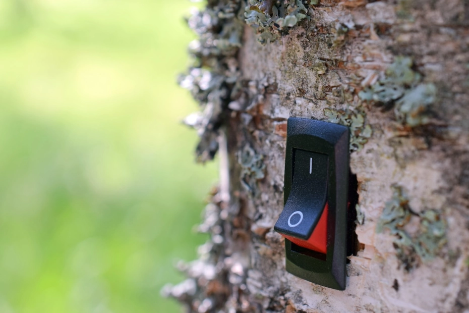 Elektromobilność to fundament transformacji. Jak eksperci projektują zieloną przyszłość miast?