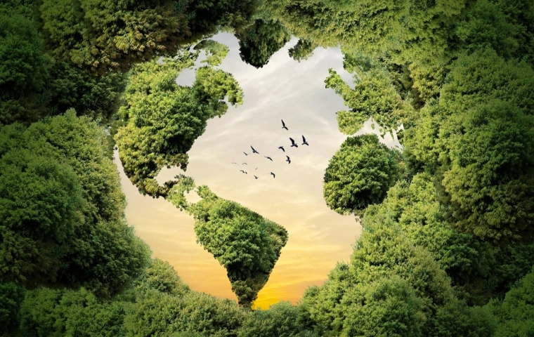 BGK znów inwestuje. Ponad 80 mln zł trafi do polskich innowacyjnych firm z obszaru technologii klimatycznych