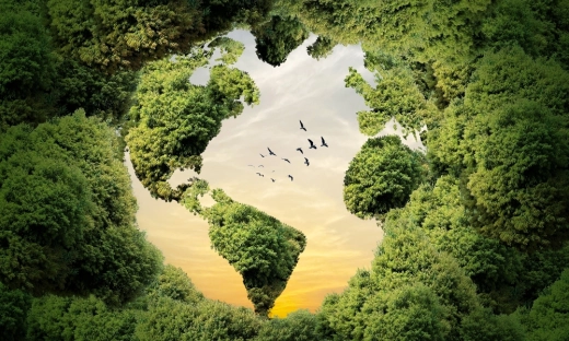 BGK znów inwestuje. Ponad 80 mln zł trafi do polskich innowacyjnych firm z obszaru technologii klimatycznych