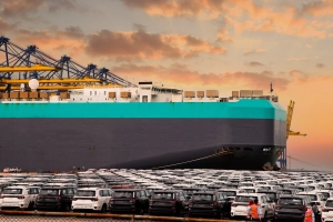 Nowy rok, nowe podatki. Kumulacja obciążeń fiskalnych i produkty droższe choćby o 38 proc.