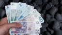 Polacy ruszyli po węgiel przed falą mrozów. Ceny mogą zaskoczyć