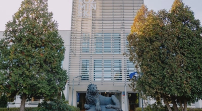 Studia MBA, które przekładają złożoność na decyzje