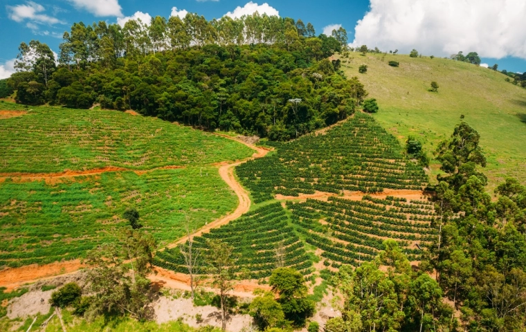 Gorzki smak małej czarnej. Kawa w 2025 roku zaliczyła szaleńczy rajd cenowy