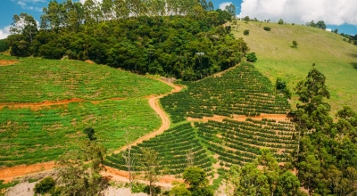Gorzki smak małej czarnej. Kawa w 2025 roku zaliczyła szaleńczy rajd cenowy