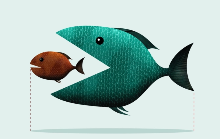 Hazardziści czy wizjonerzy? Kupują firmy warte połowę ich własnej wyceny