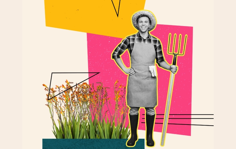 Polska technologia wesprze rolników w walce z suszą. Startup Agri4Zero ze wsparciem finansowym od PARP