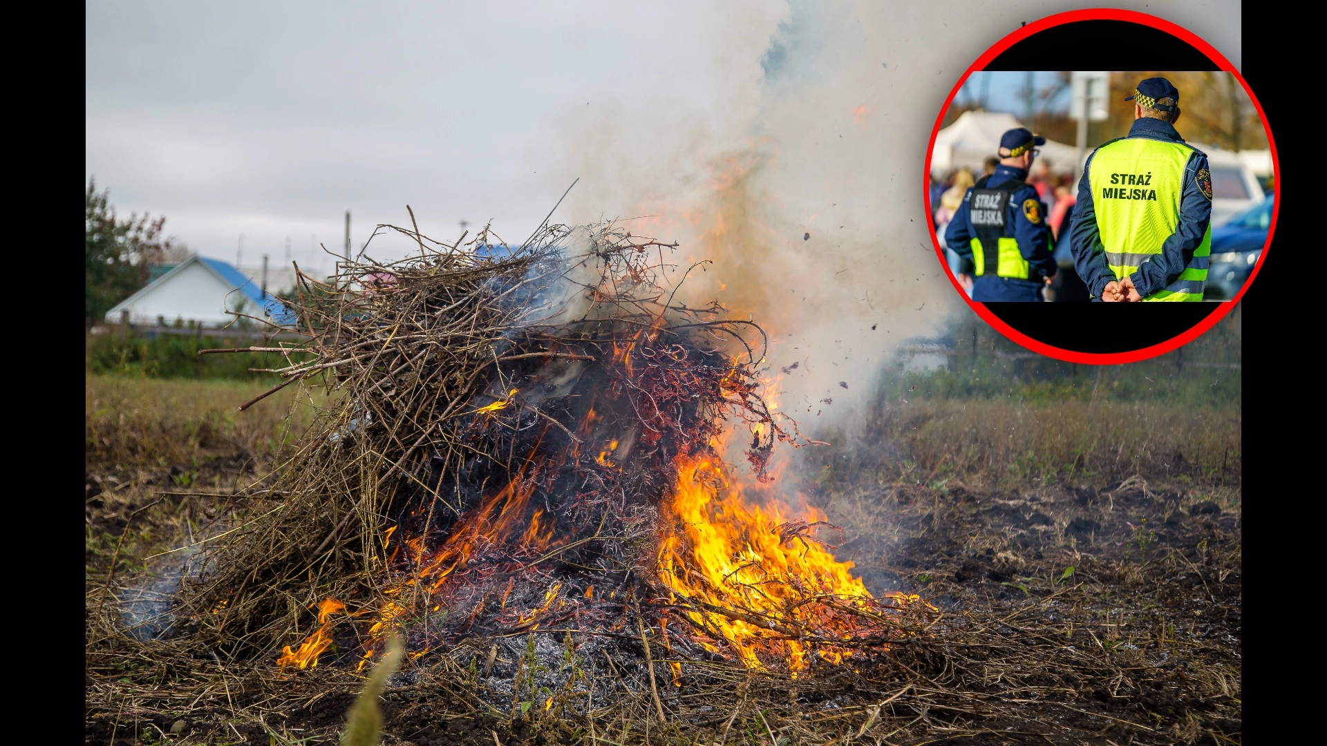 Czy można palić gałęzie na działce w 2026 roku? Sprawdź przepisy i kary