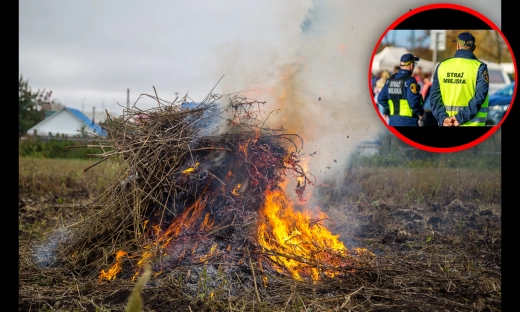 Wielu Polaków robi to na działce. Grzywna może wynieść nawet 5 tys. zł