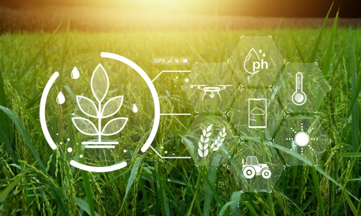 Huawei Startup Challenge V: znamy półfinałową dwudziestkę #TechForAgrinnovation