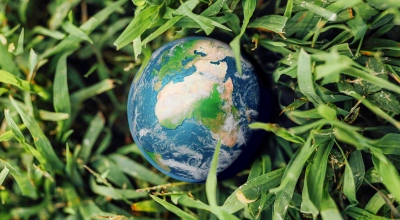 Dzień Ziemi: zielone zaangażowanie, bez ekościemy