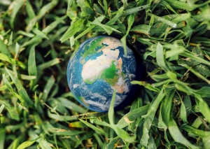 Dzień Ziemi: zielone zaangażowanie, bez ekościemy