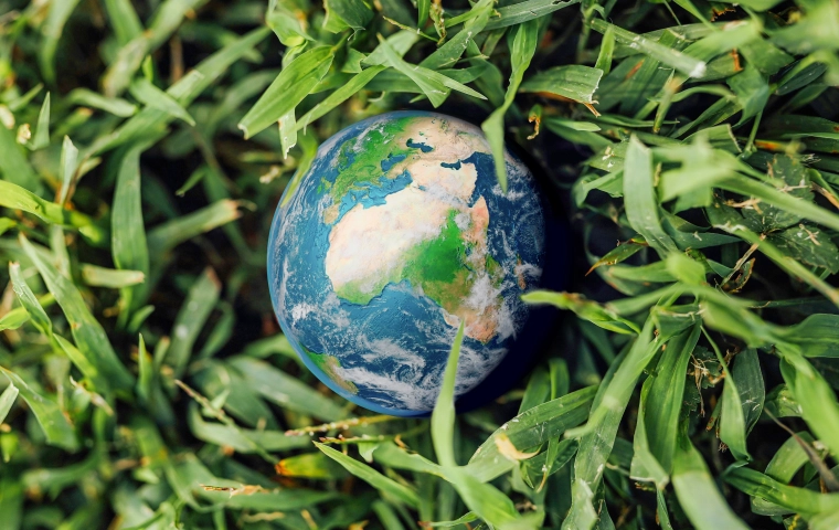 Dzień Ziemi: zielone zaangażowanie, bez ekościemy