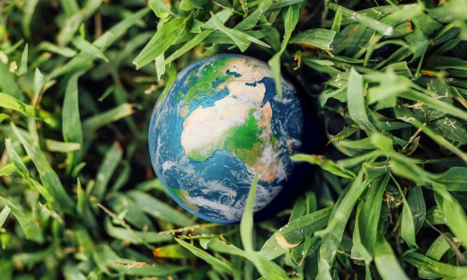 Dzień Ziemi: zielone zaangażowanie, bez ekościemy