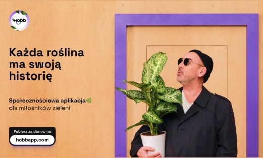 Czy miłośnik roślin potrzebuje własnych social mediów? Białostocki HOBB znalazł lukę na rynku