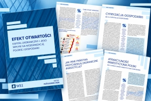 Zagraniczne inwestycje nie gwarantują rozwoju polskich firm. Raport WEI pokazuje, dlaczego